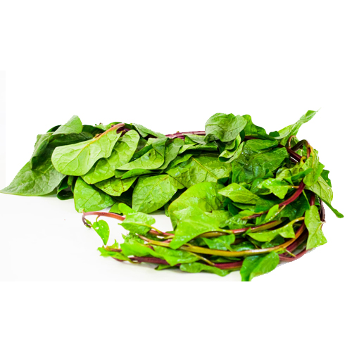 Pui Shak - Malabar Spinach - Malabar Spinat